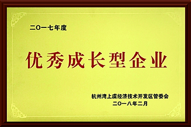 2017年度優(yōu)秀成長型企業(yè)