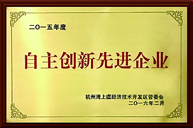 2015年度自主創(chuàng)新先進企業(yè)
