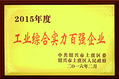 2015工業(yè)綜合實力百強企業(yè)