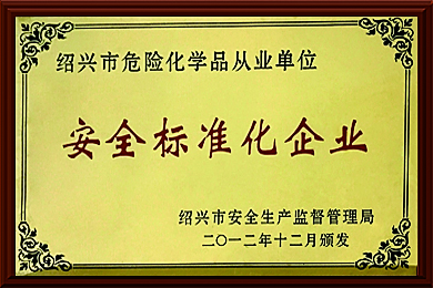 安全標準化企業(yè)
